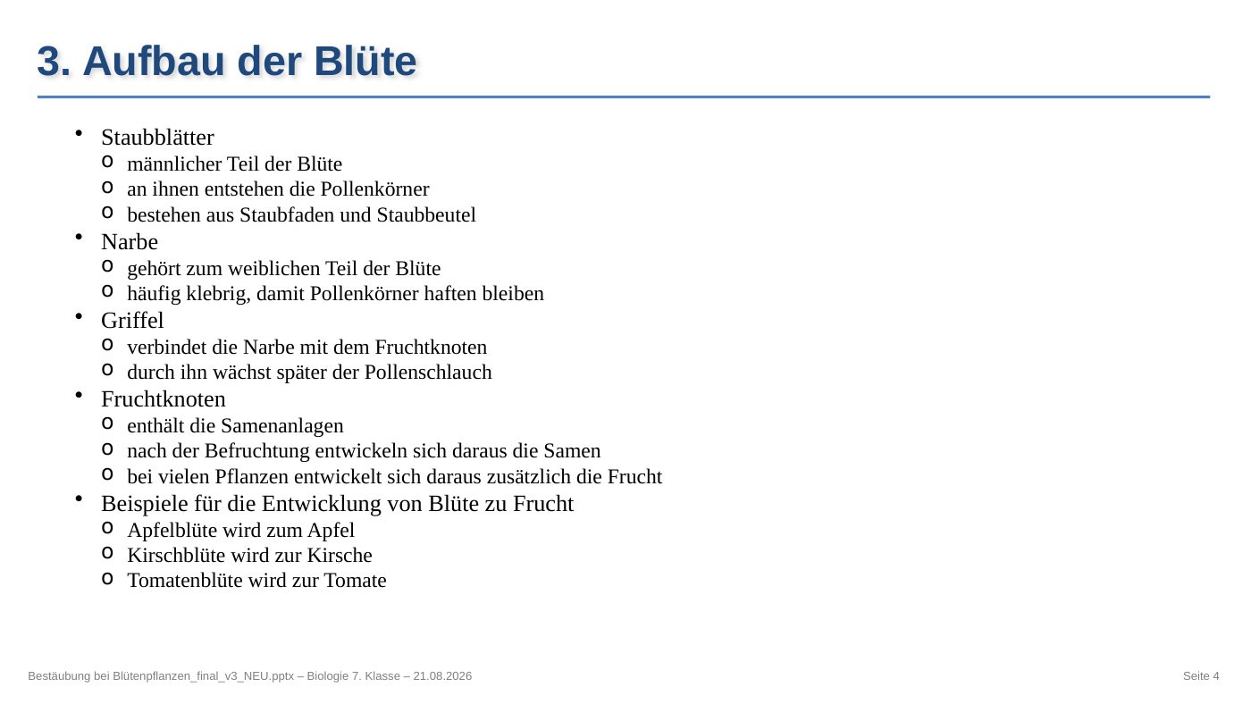 Klassische Unterrichtsfolie mit 18 Zeilen Aufzählungstext zum Aufbau der Blüte